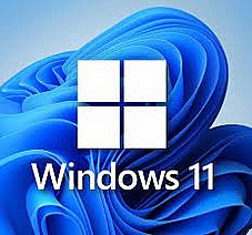 ����� ����� Microsoft Windows 10 Professional OEM ���������